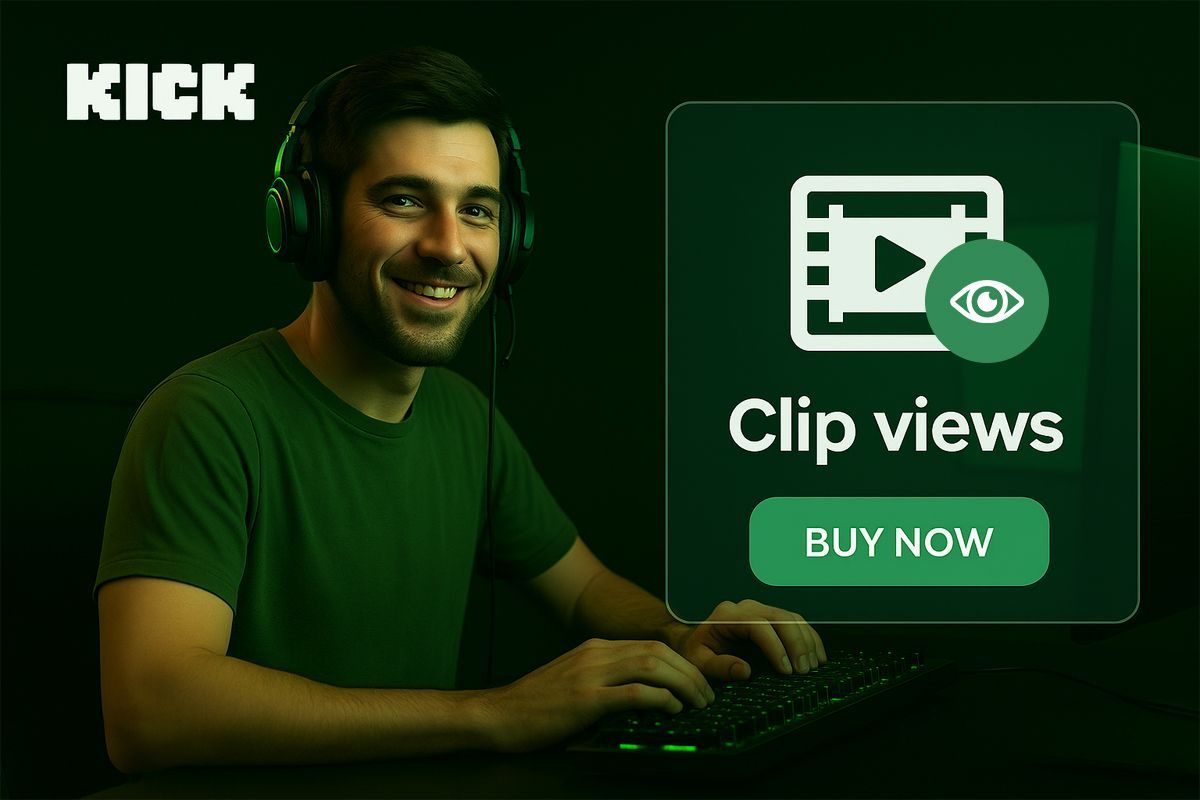 buy kick clip views