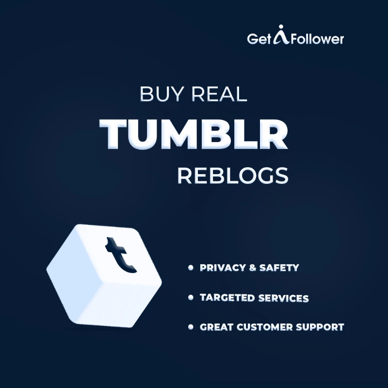 buy real tumblr reblogs